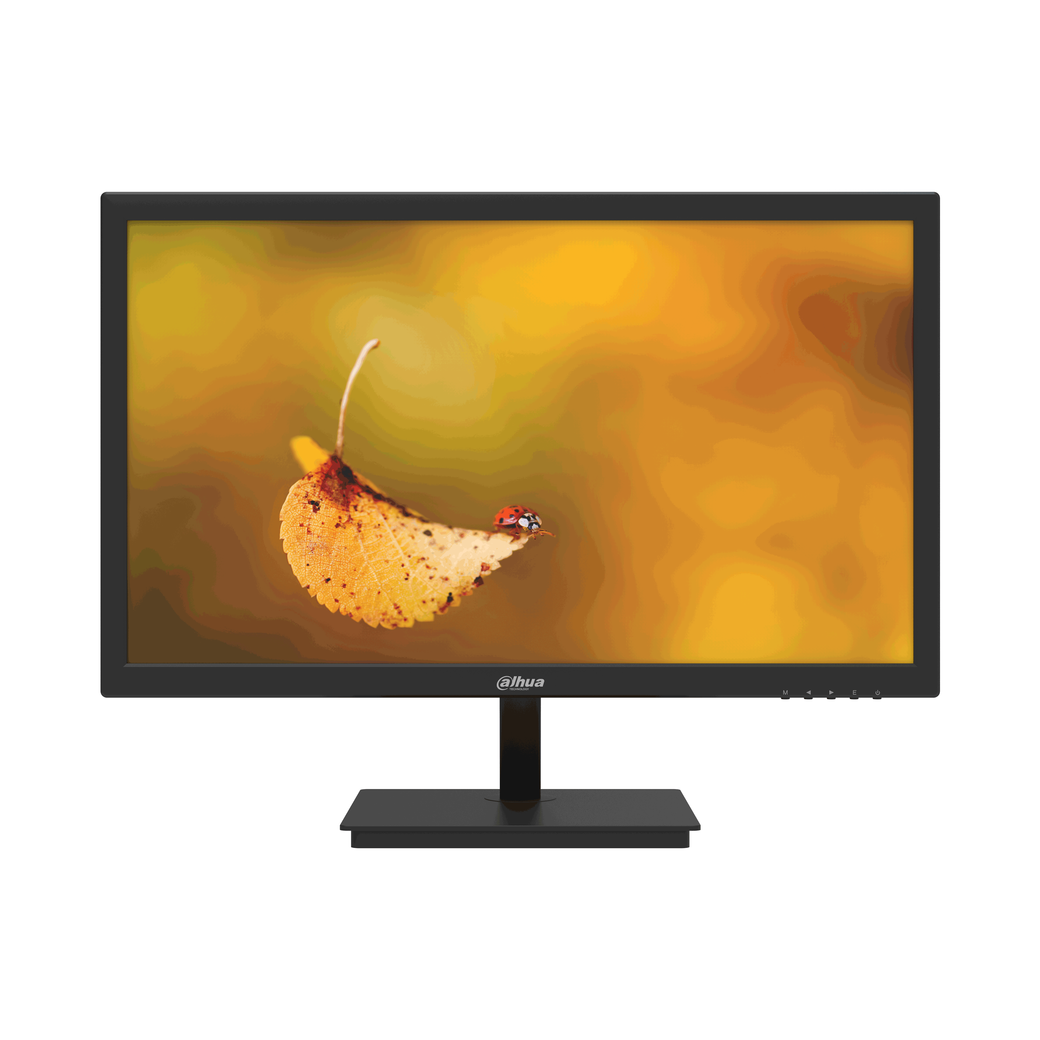 Monitor