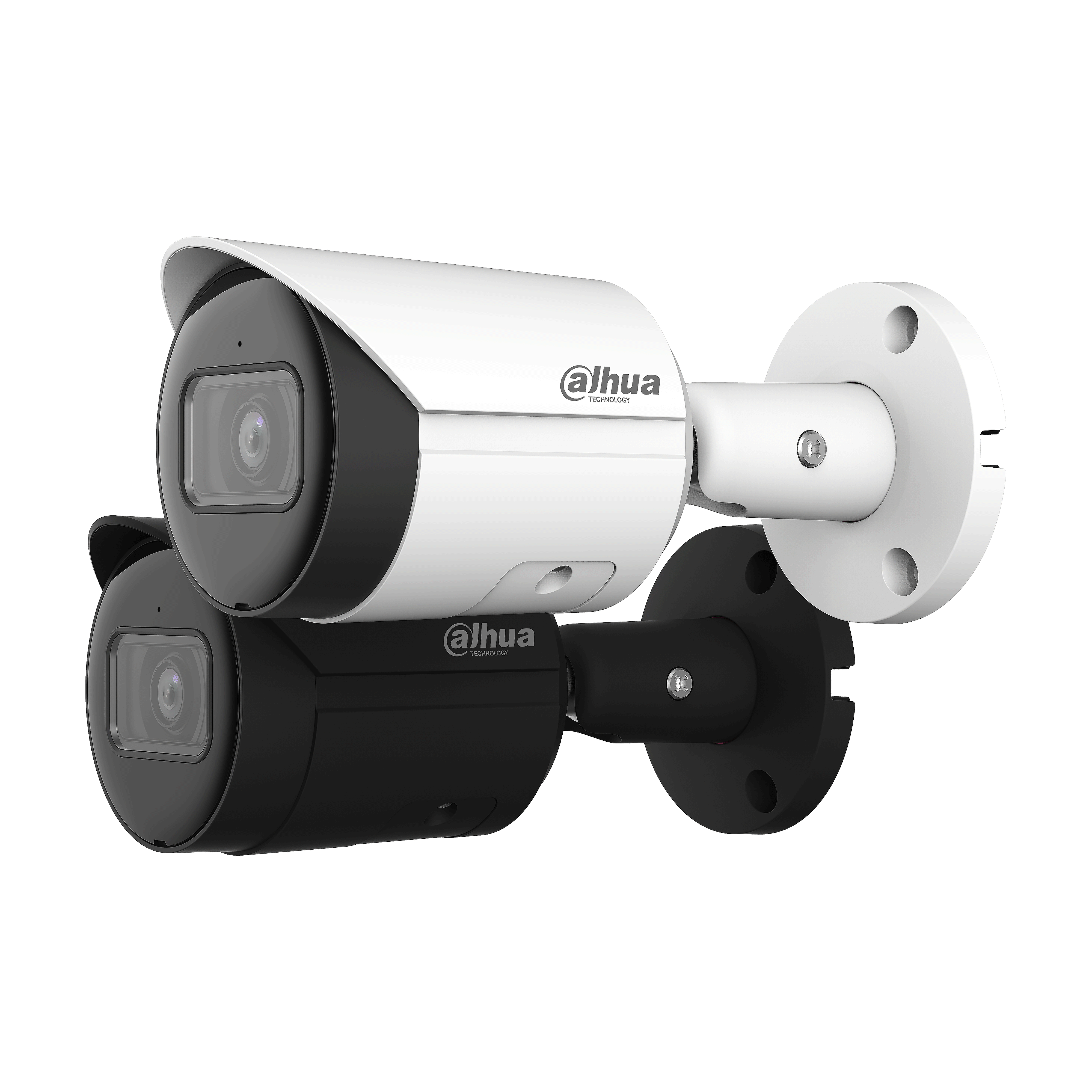 Network Camera