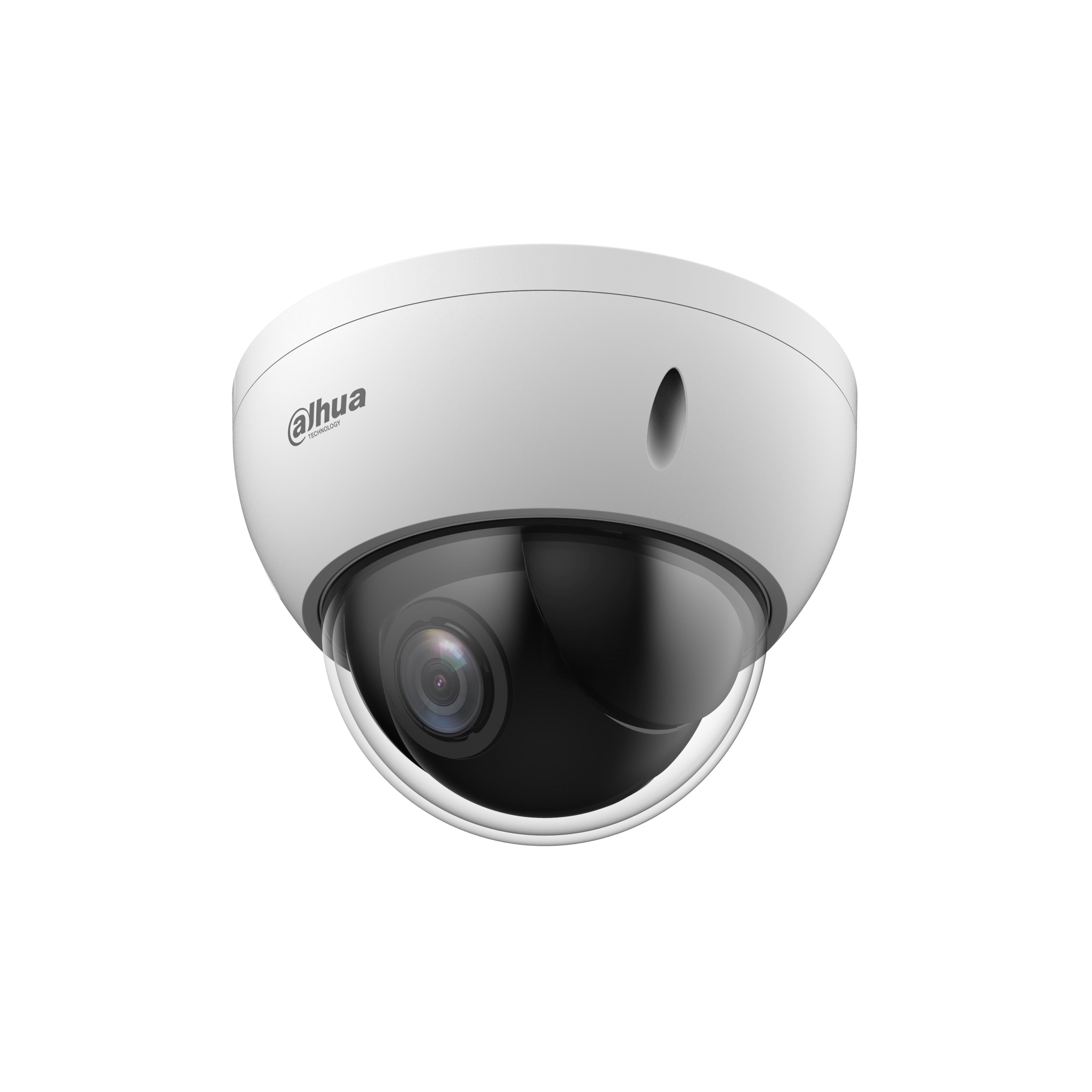 PTZ Cameras