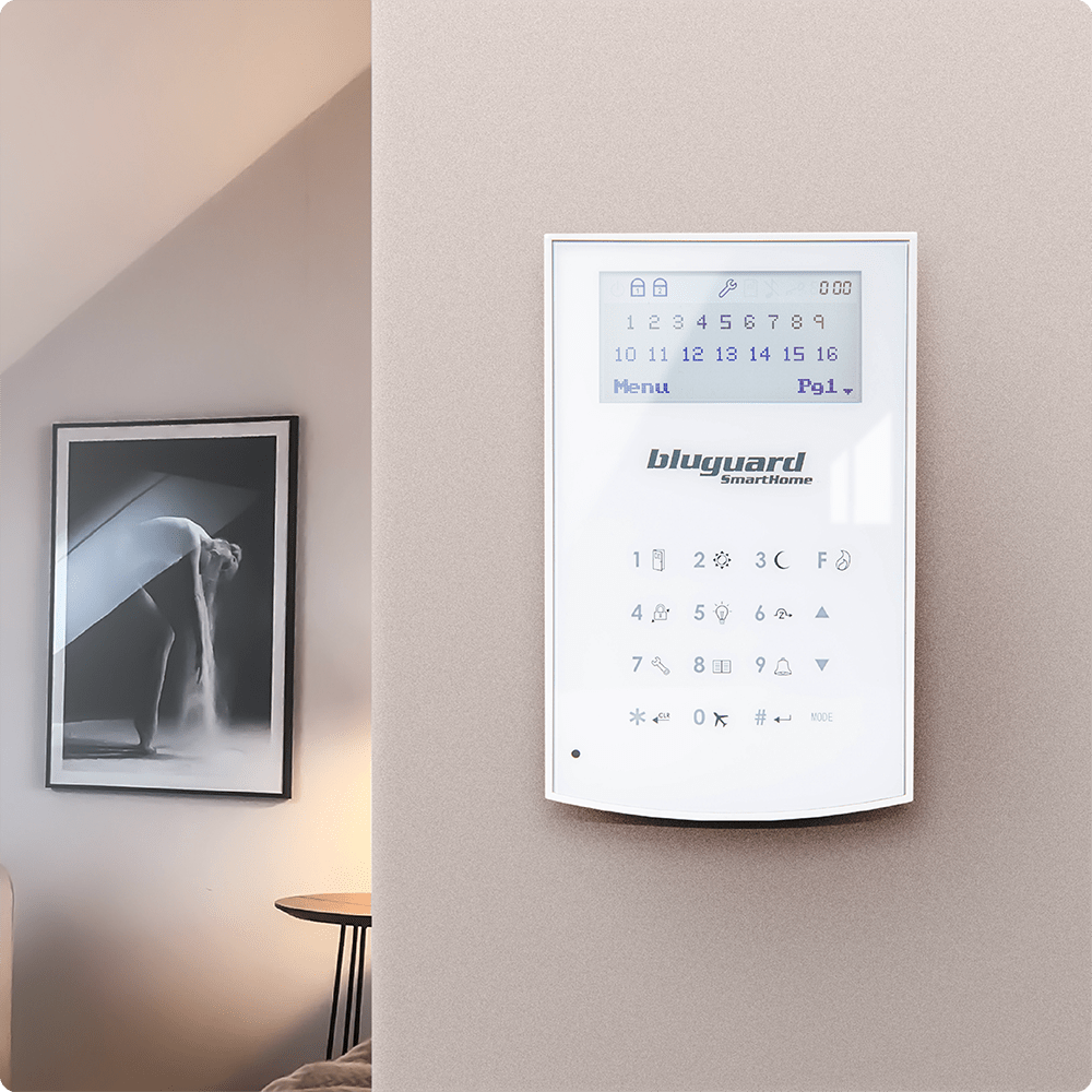 Bluguard Wired Alarm