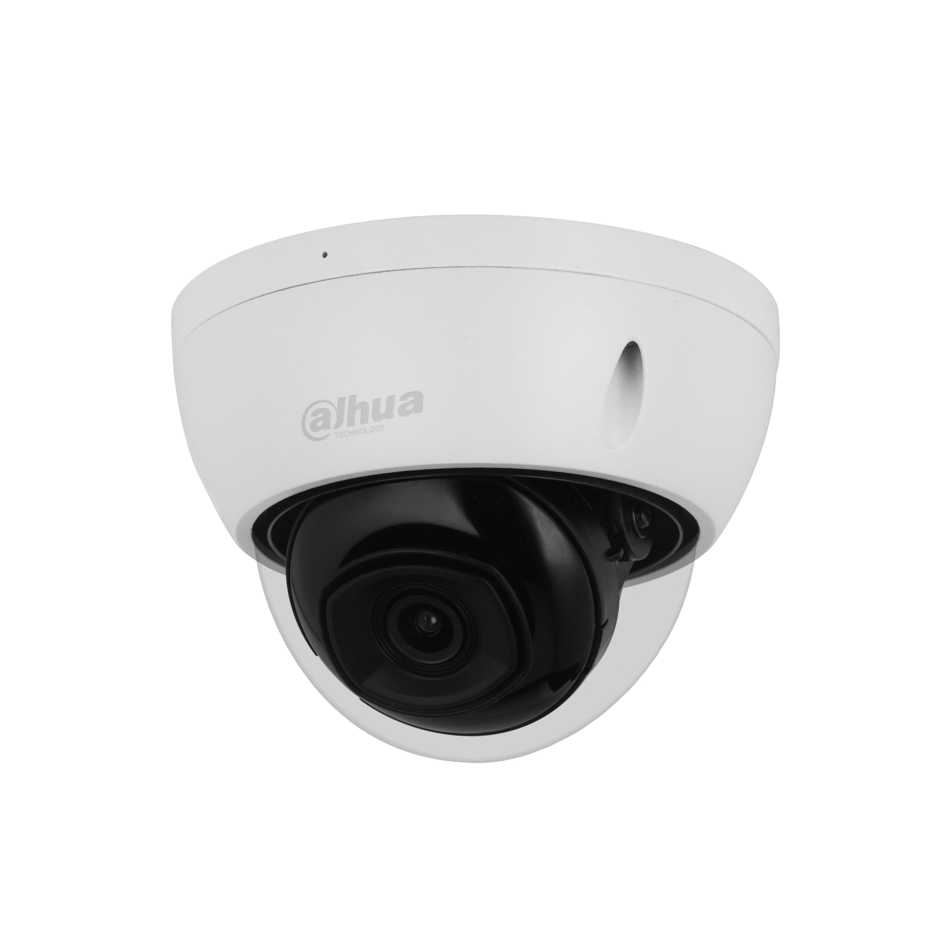 Network Camera